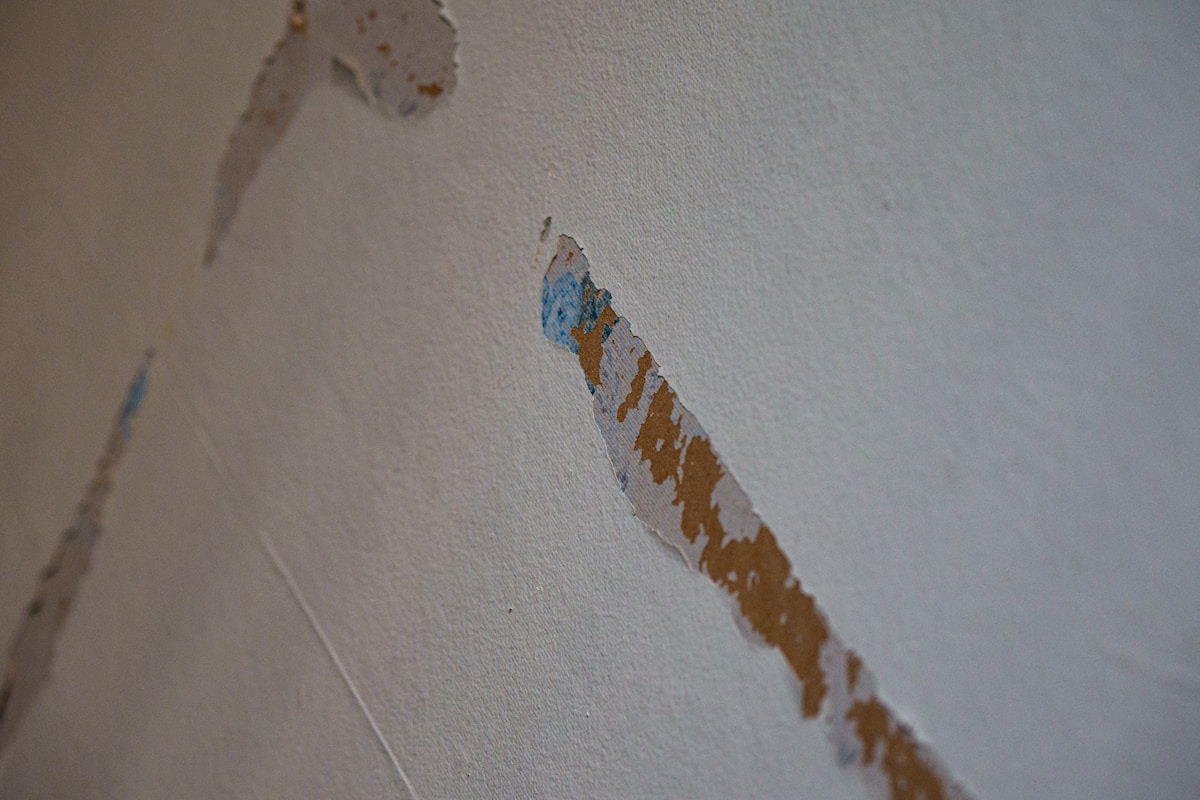 Flood Cleanup service in Salina, KS